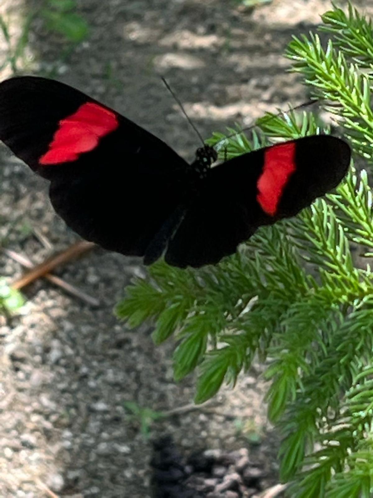 Tawaca Ecohotel Calabazo  Εξωτερικό φωτογραφία